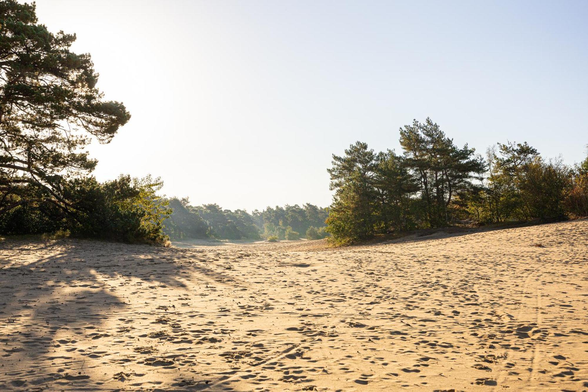 Vakantiehuis Veluws Genieten Met Whirlpool En Sauna Doornspijk 外观 照片